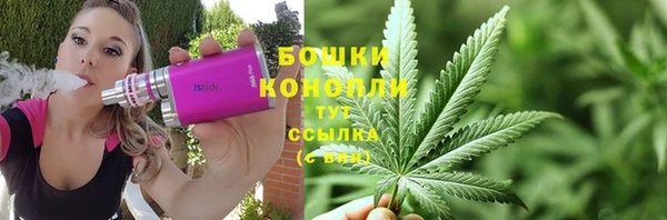 spice Касимов