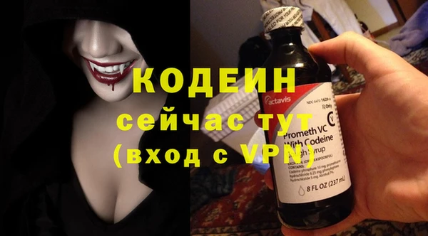 прущие грибы Карталы