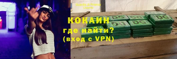 прущие грибы Карталы