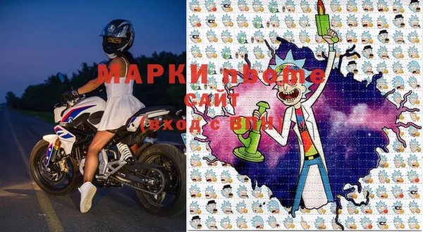 прущие грибы Карталы