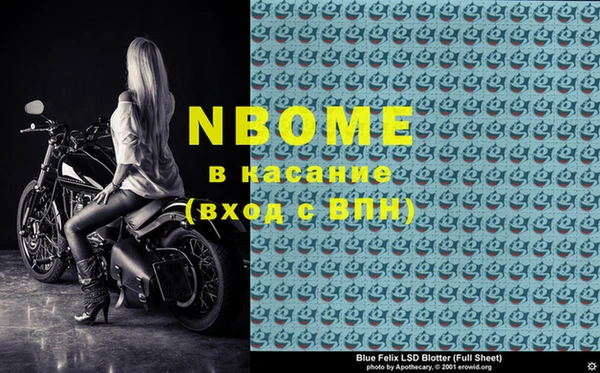 прущие грибы Карталы