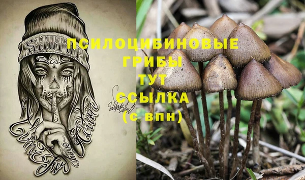 прущие грибы Карталы
